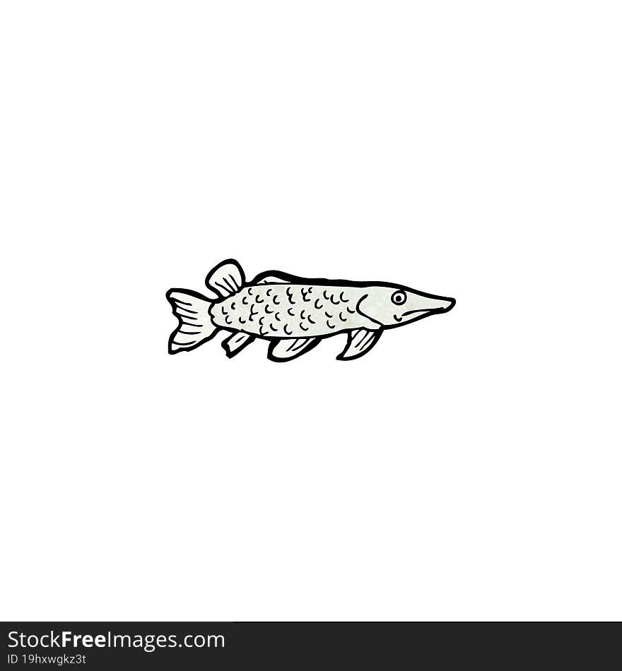 Fish Illustration