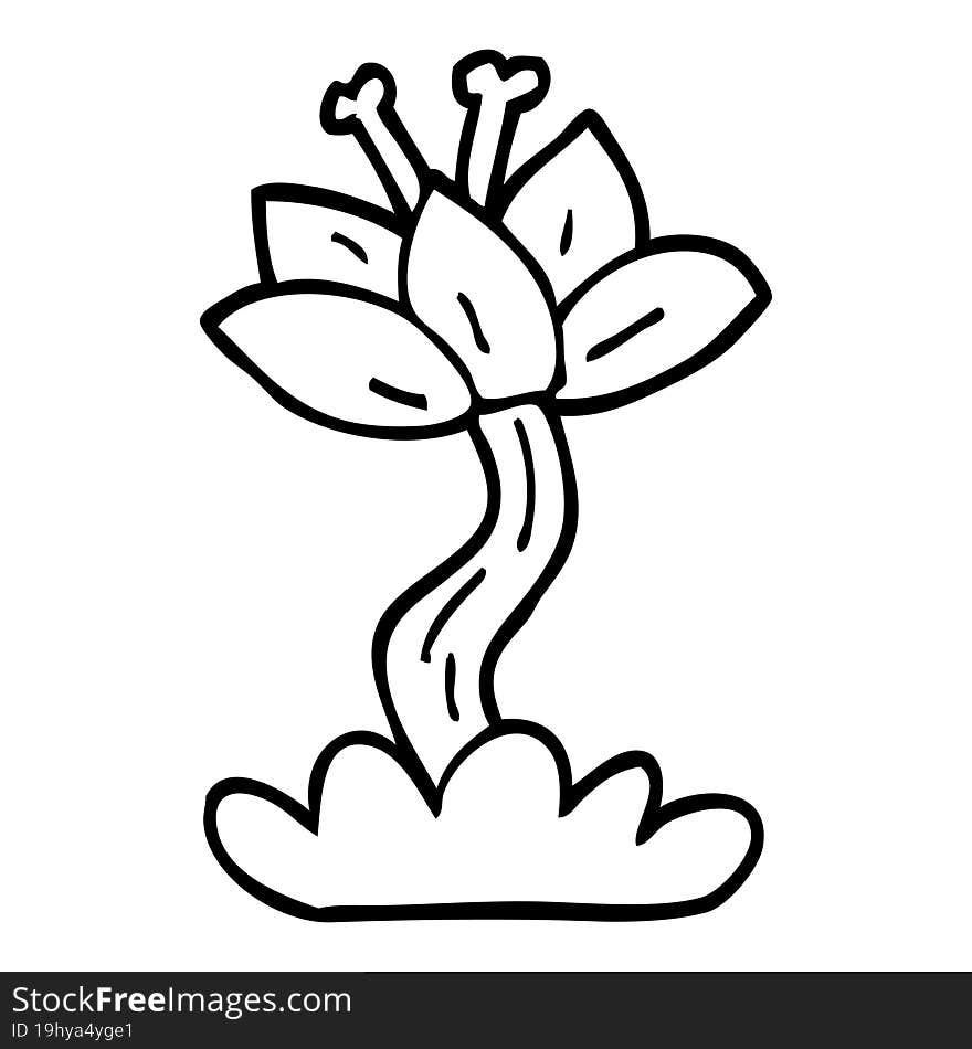 line drawing cartoon red lilly