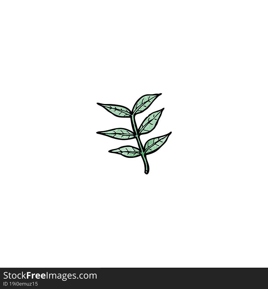 cartoon leaf