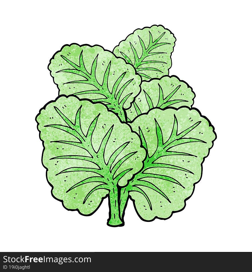 cartoon cabbage leaves