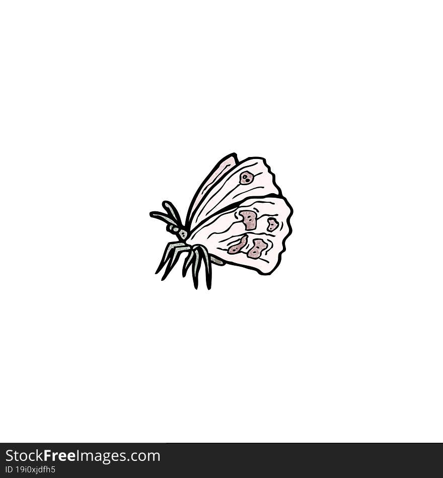 cartoon buttefly