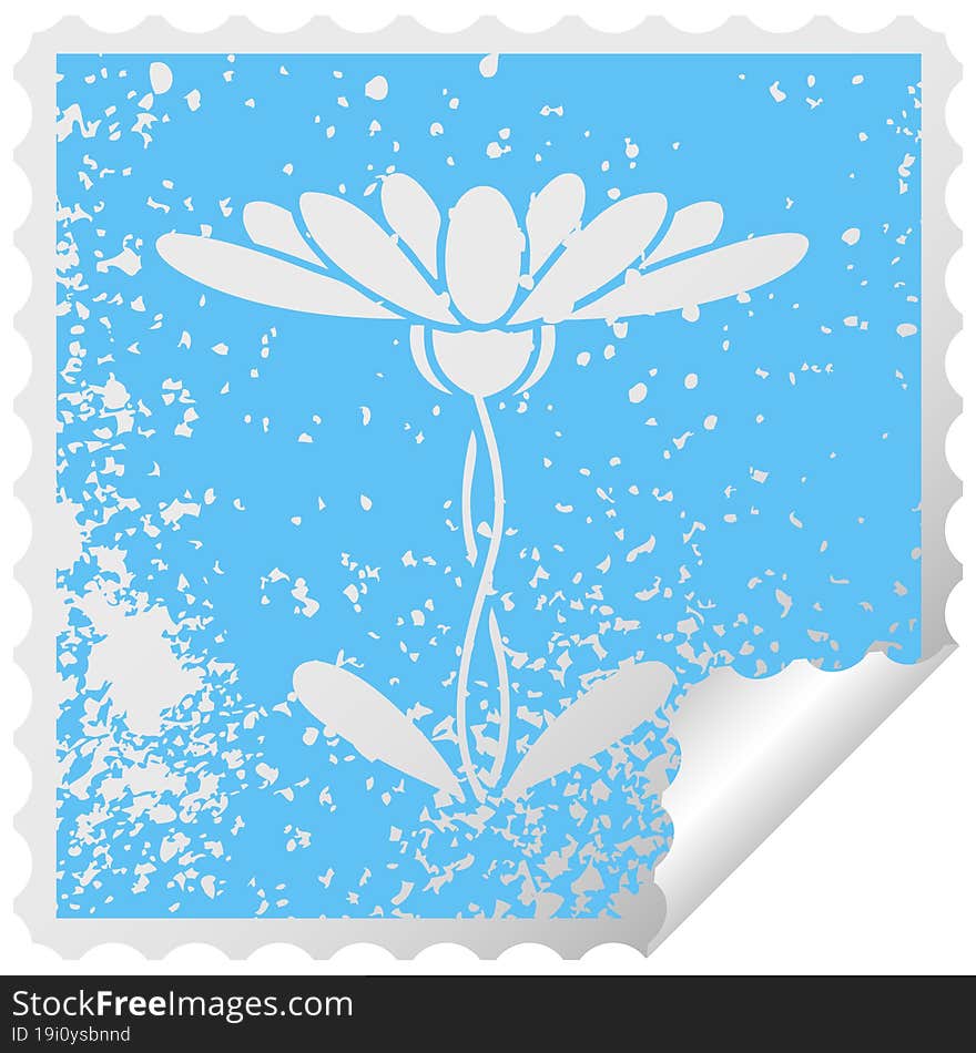 distressed square peeling sticker symbol of a flower