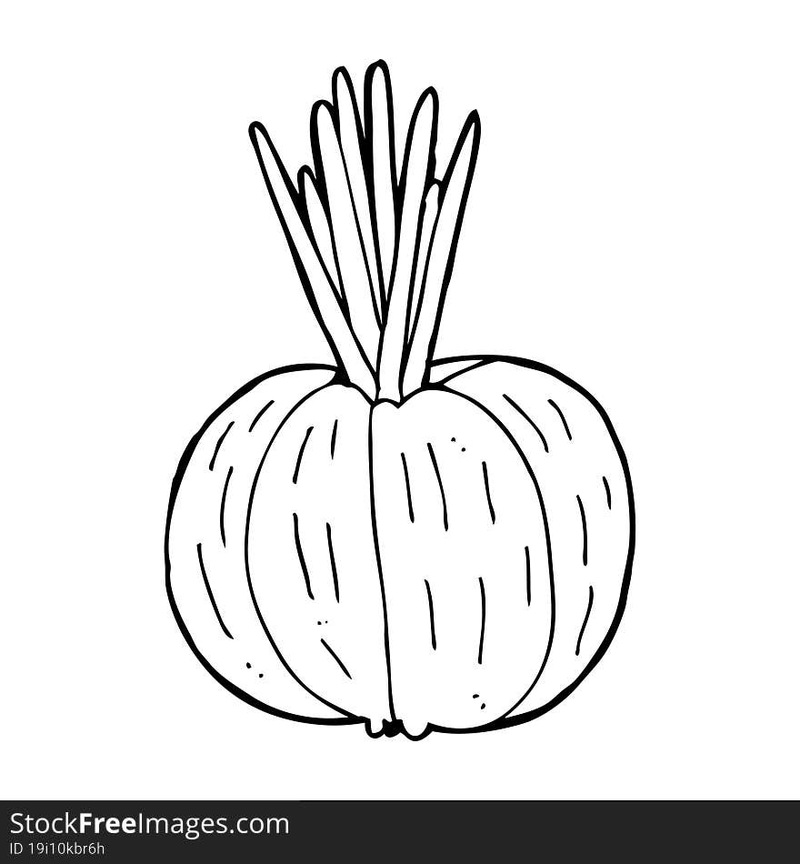 cartoon vegetable