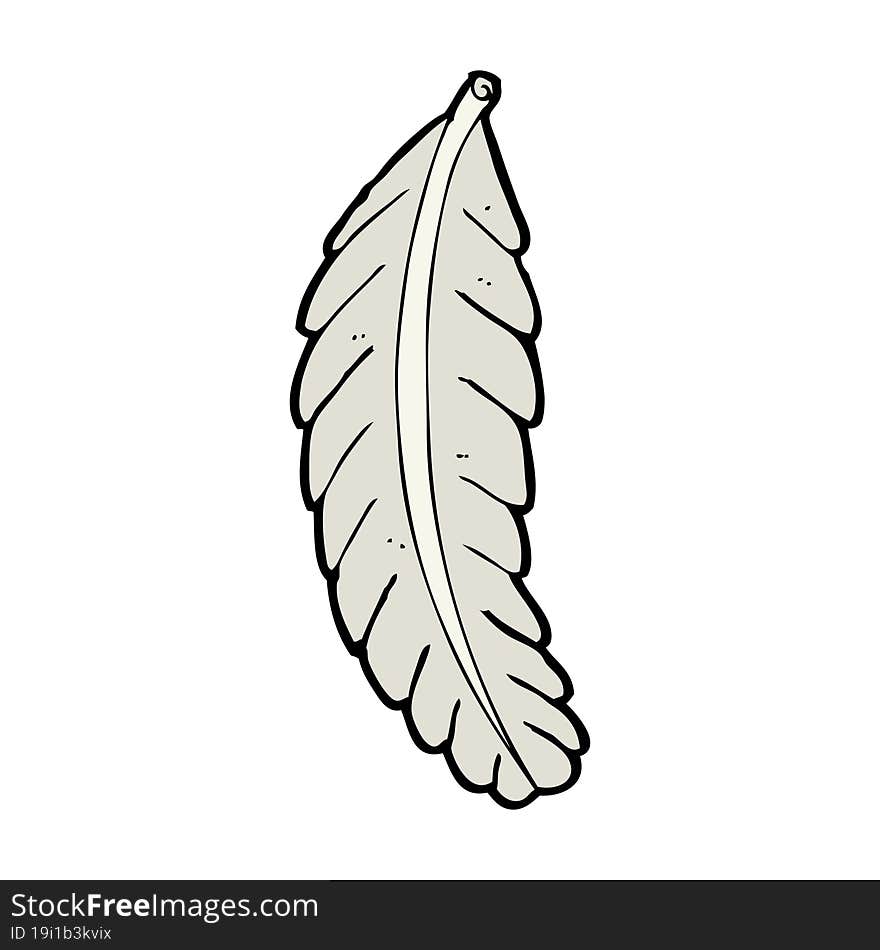 cartoon feather