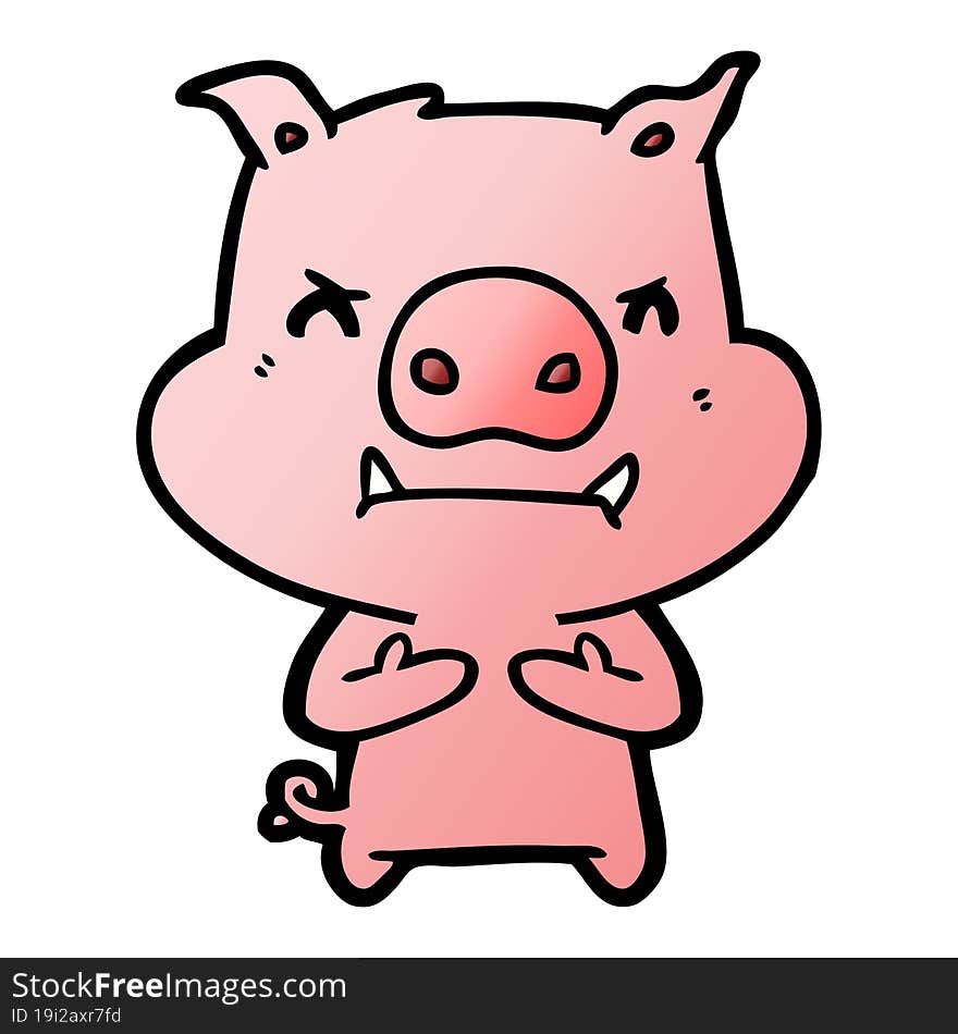 angry cartoon pig. angry cartoon pig