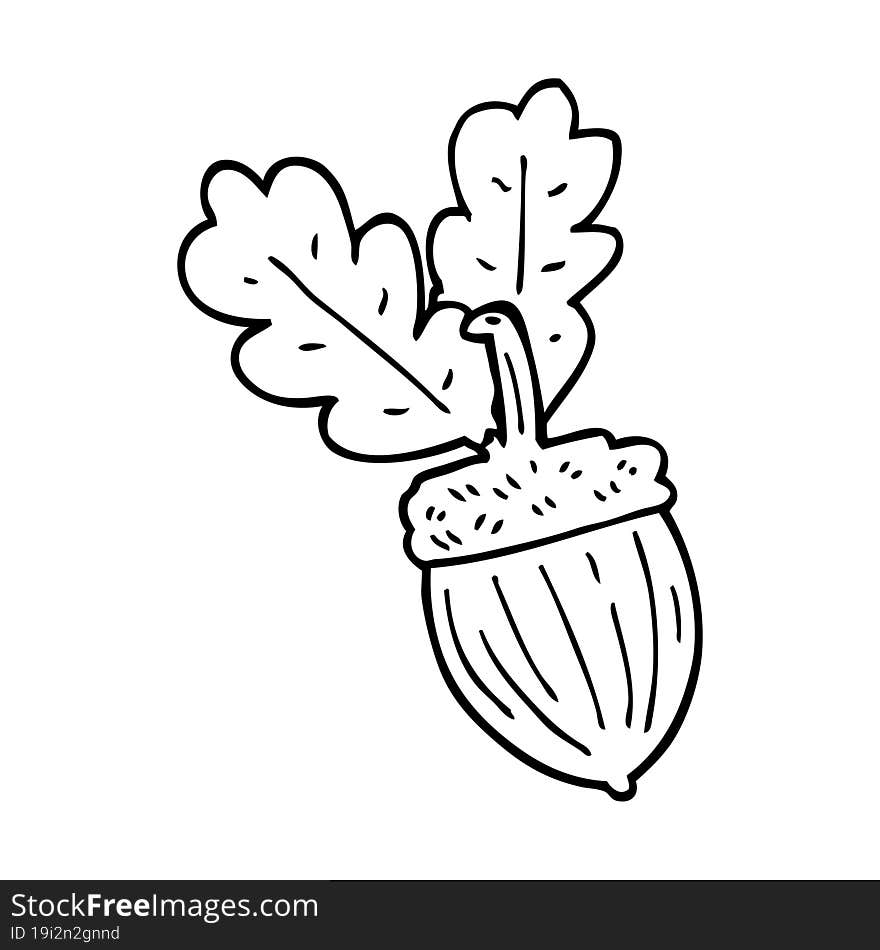 Line Drawing Cartoon Acorn