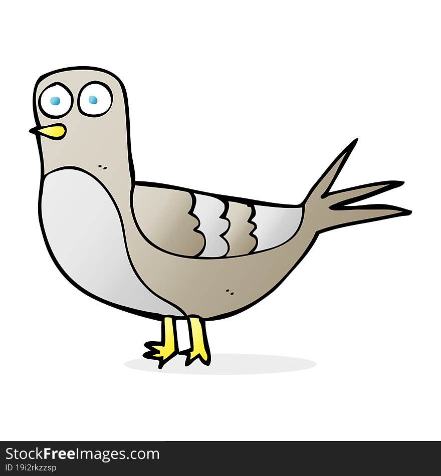 freehand drawn cartoon pigeon