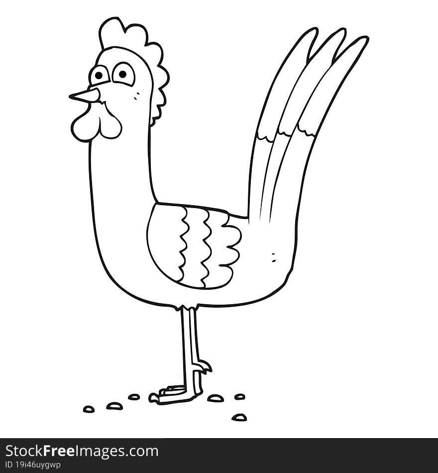 black and white cartoon chicken