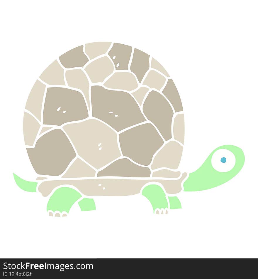 flat color illustration cartoon tortoise