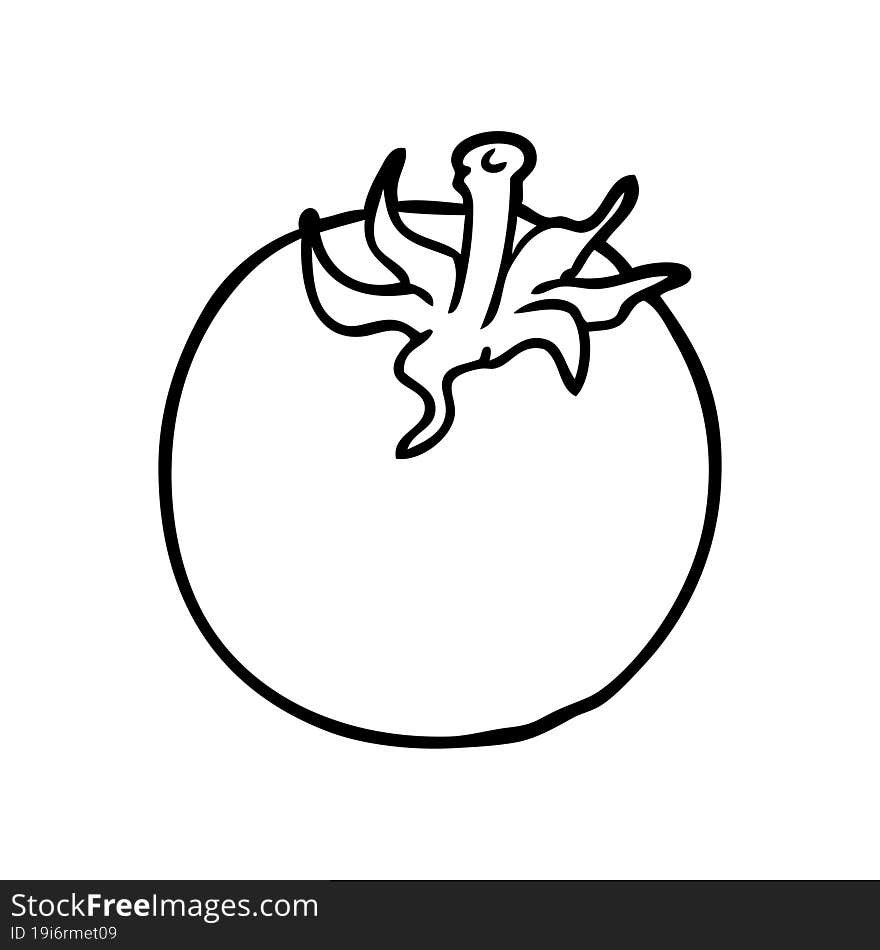 line drawing of a fresh tomato. line drawing of a fresh tomato