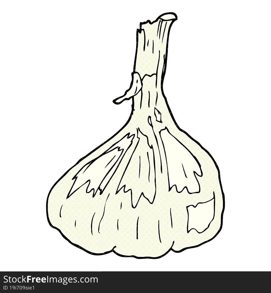 cartoon garlic