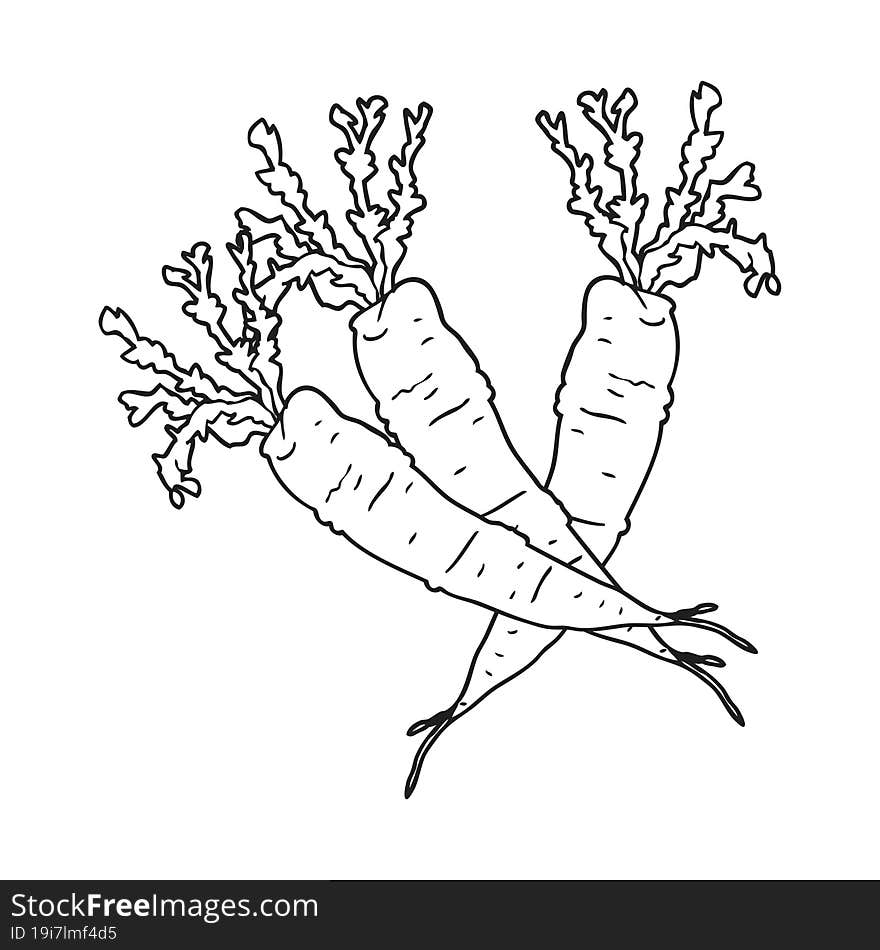 black and white cartoon carrots