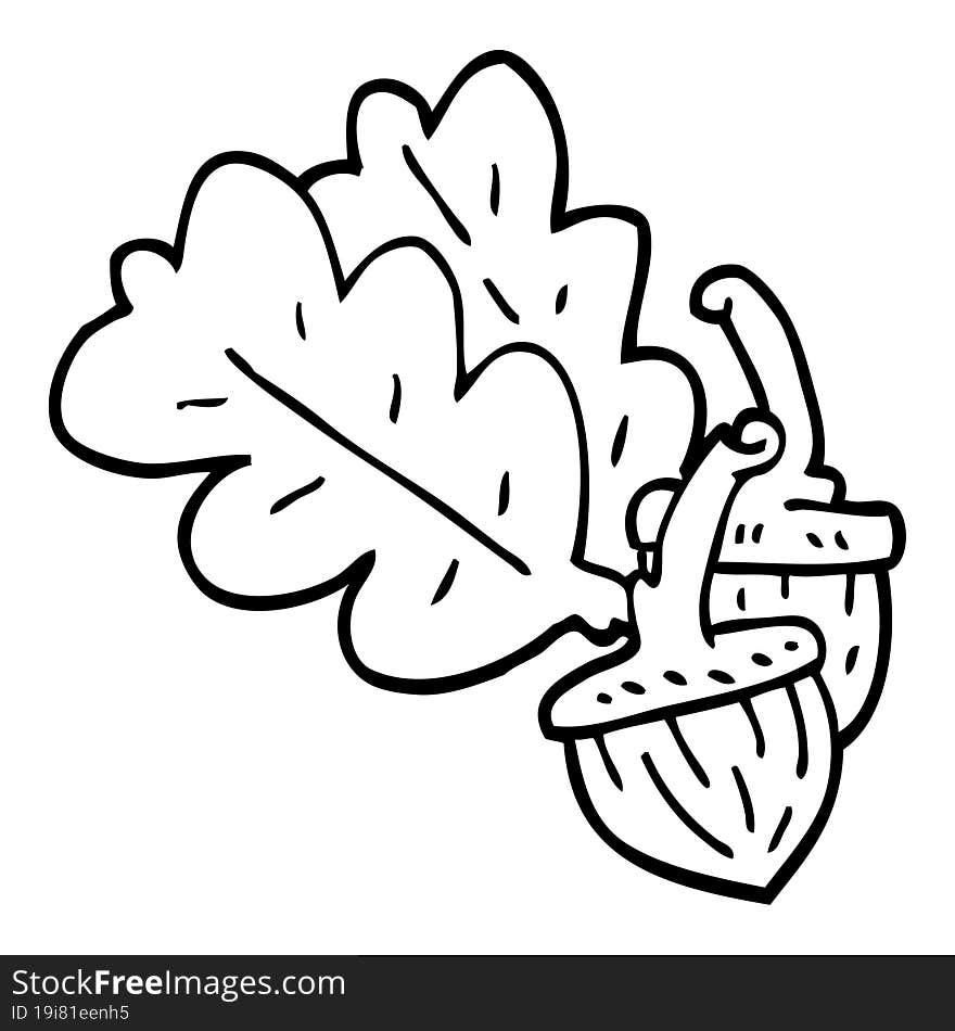 Line Drawing Cartoon Acorn