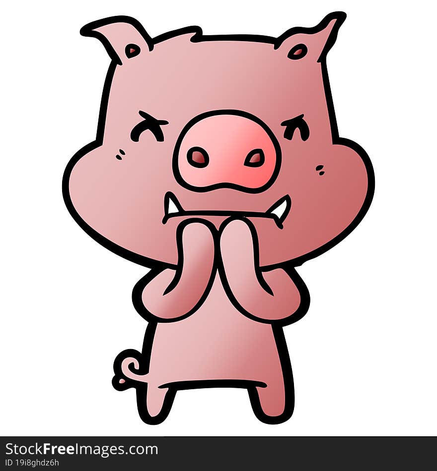 angry cartoon pig. angry cartoon pig