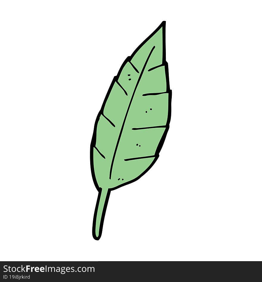 Cartoon Leaf