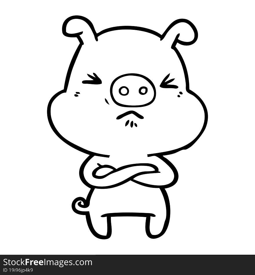 cartoon angry pig. cartoon angry pig