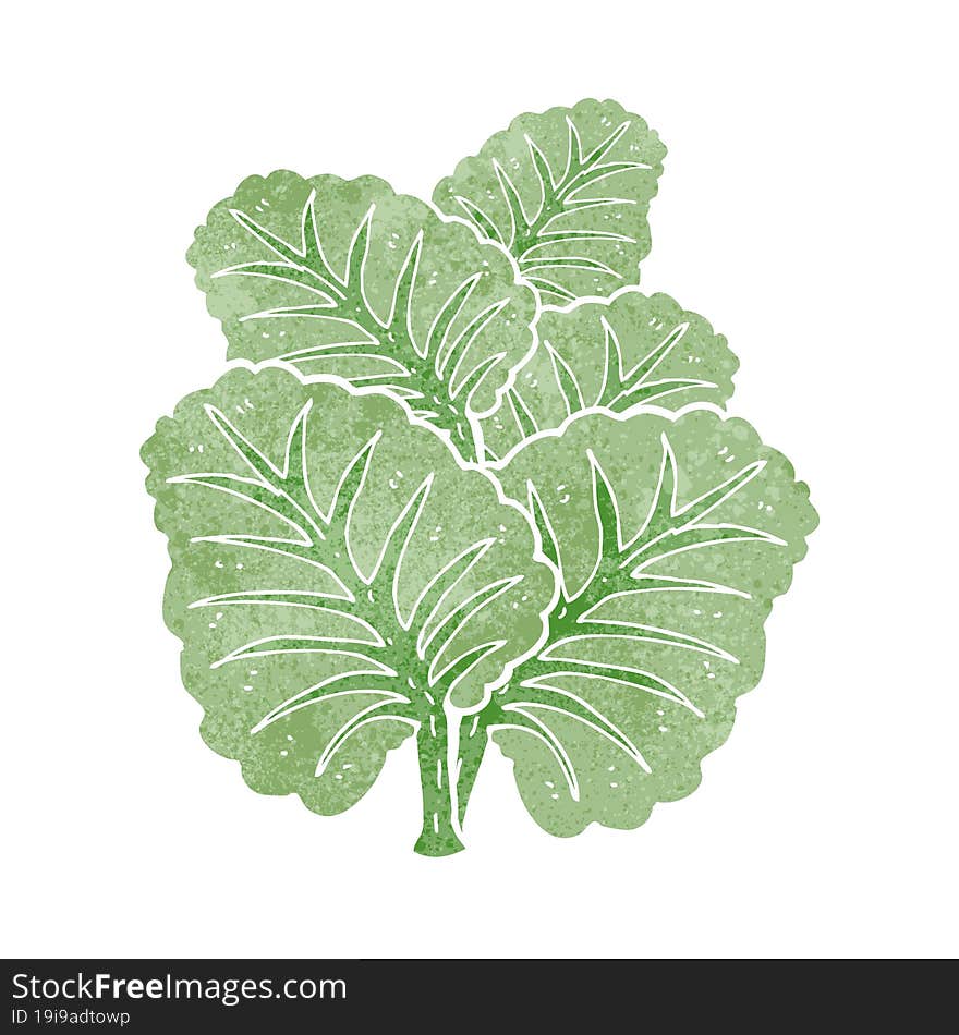 Cartoon Cabbage Leaves