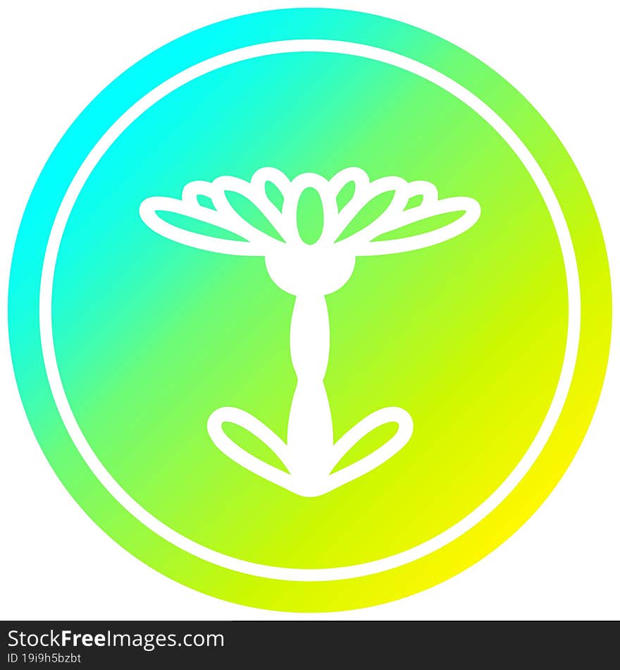 blooming flower circular icon with cool gradient finish. blooming flower circular icon with cool gradient finish