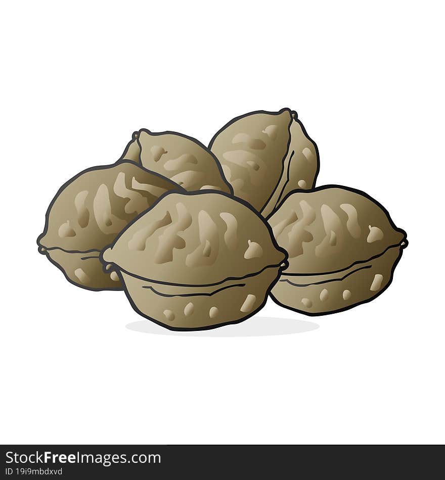 freehand drawn cartoon walnuts in shell