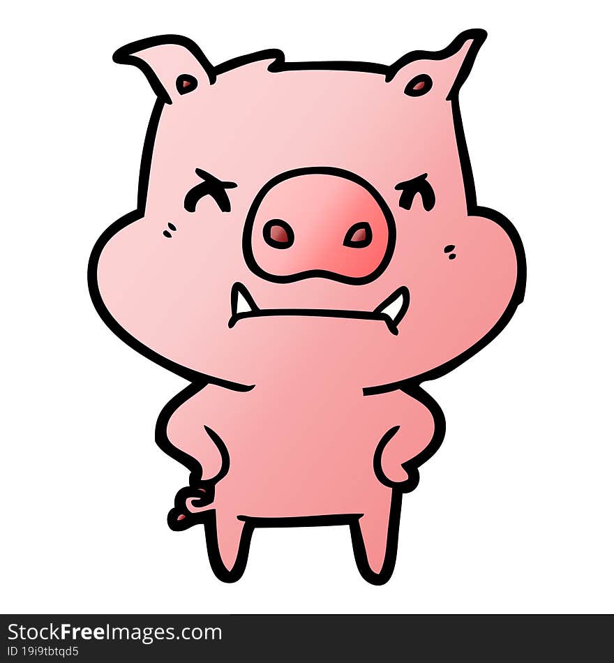 angry cartoon pig. angry cartoon pig