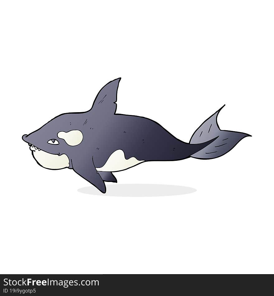 cartoon killer whale