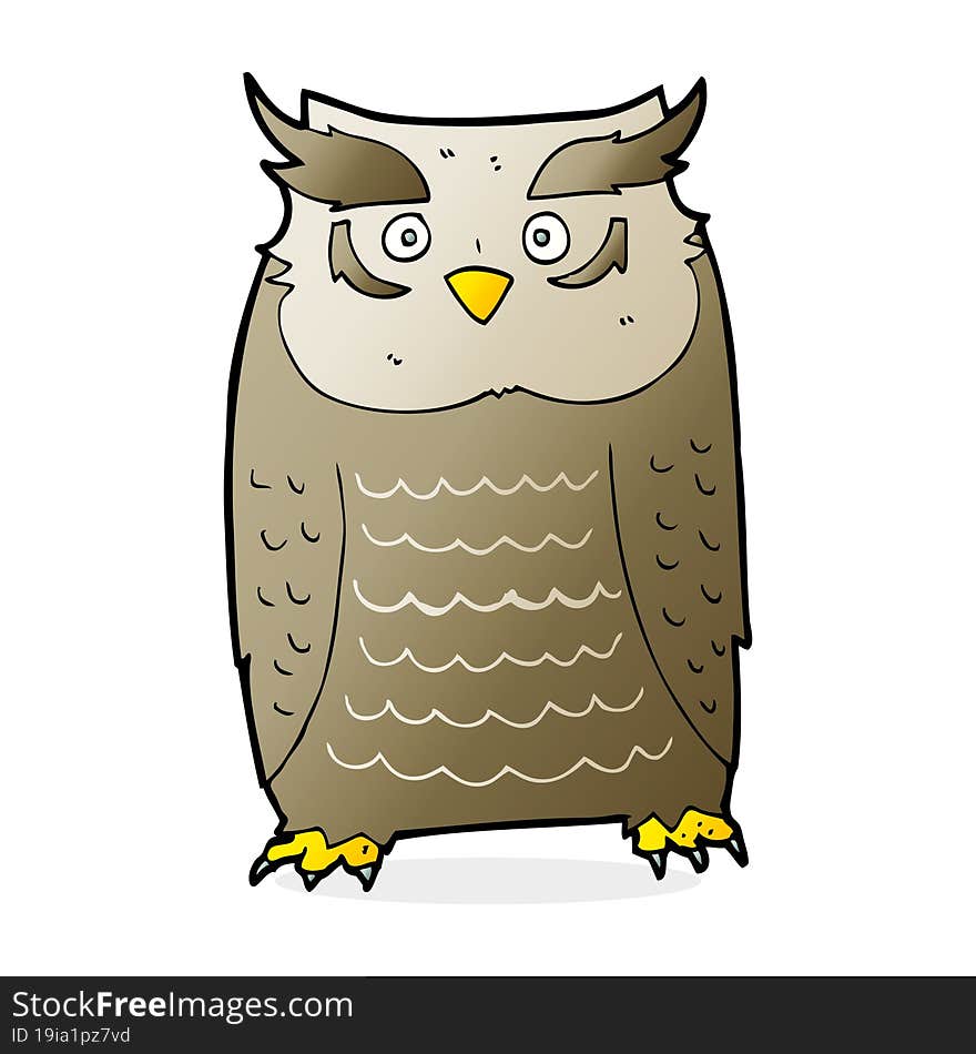 Cartoon Owl