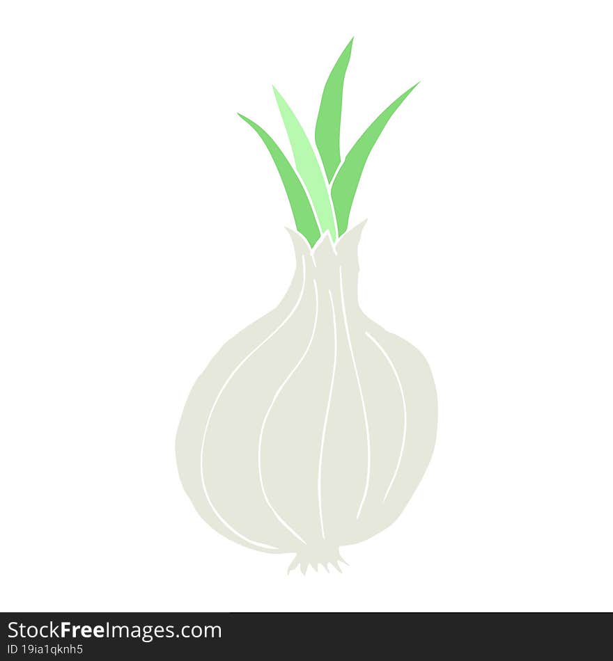 flat color illustration of onion. flat color illustration of onion