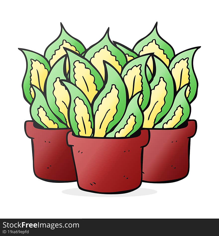 cartoon house plants