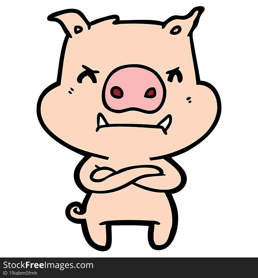 angry cartoon pig. angry cartoon pig