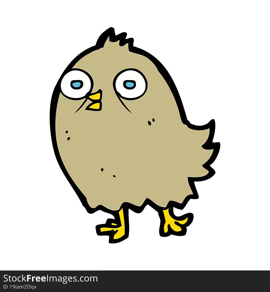 funny cartoon bird