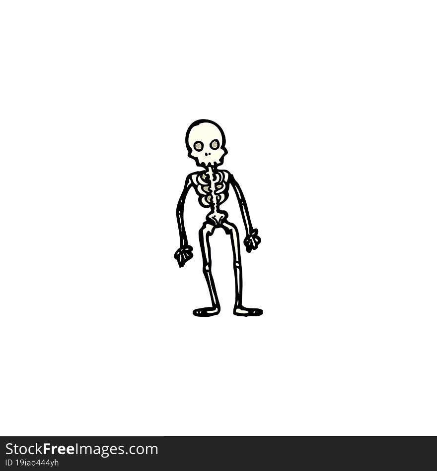 Cartoon Skeleton