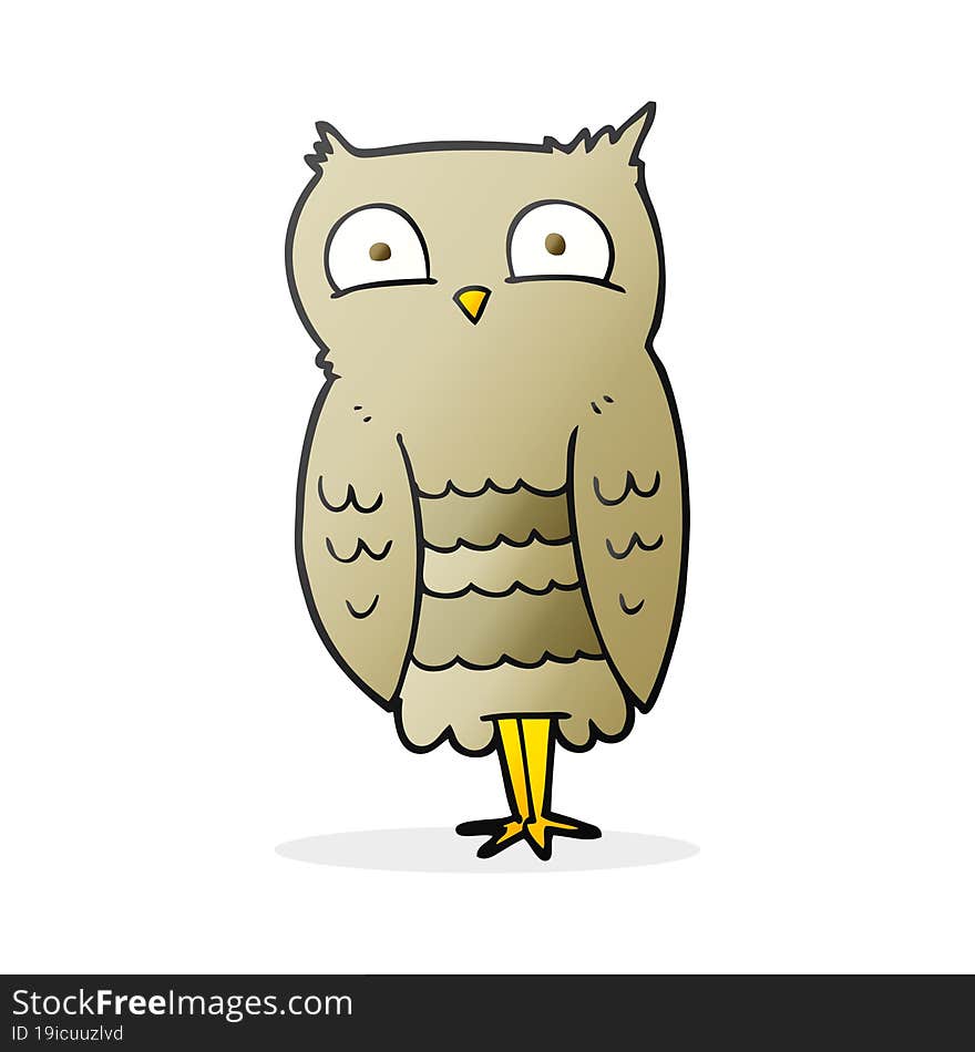 Cartoon Owl