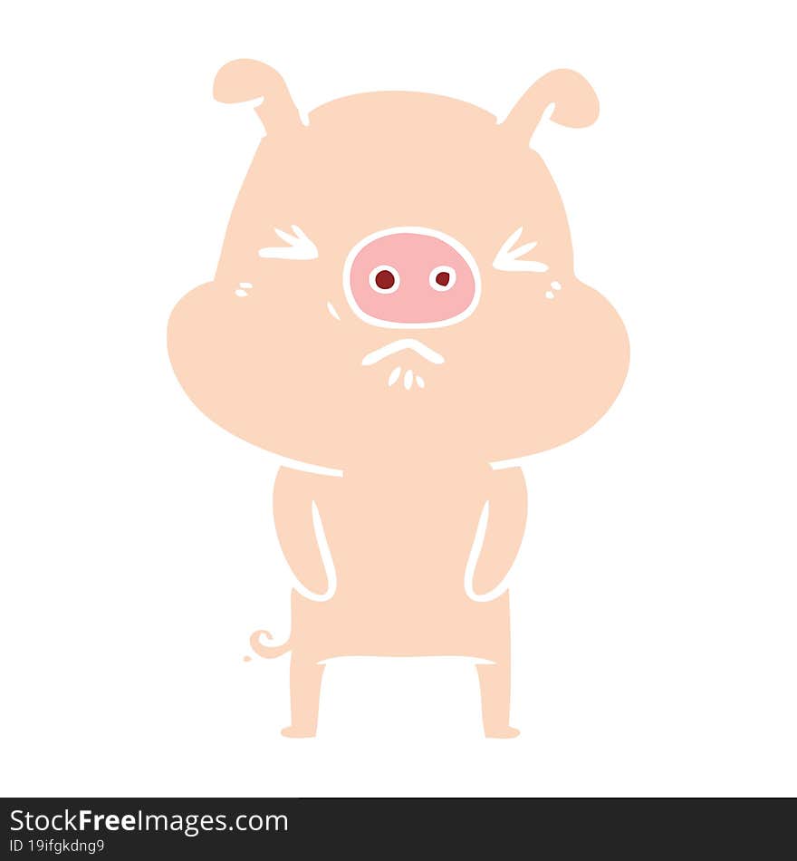 flat color style cartoon grumpy pig