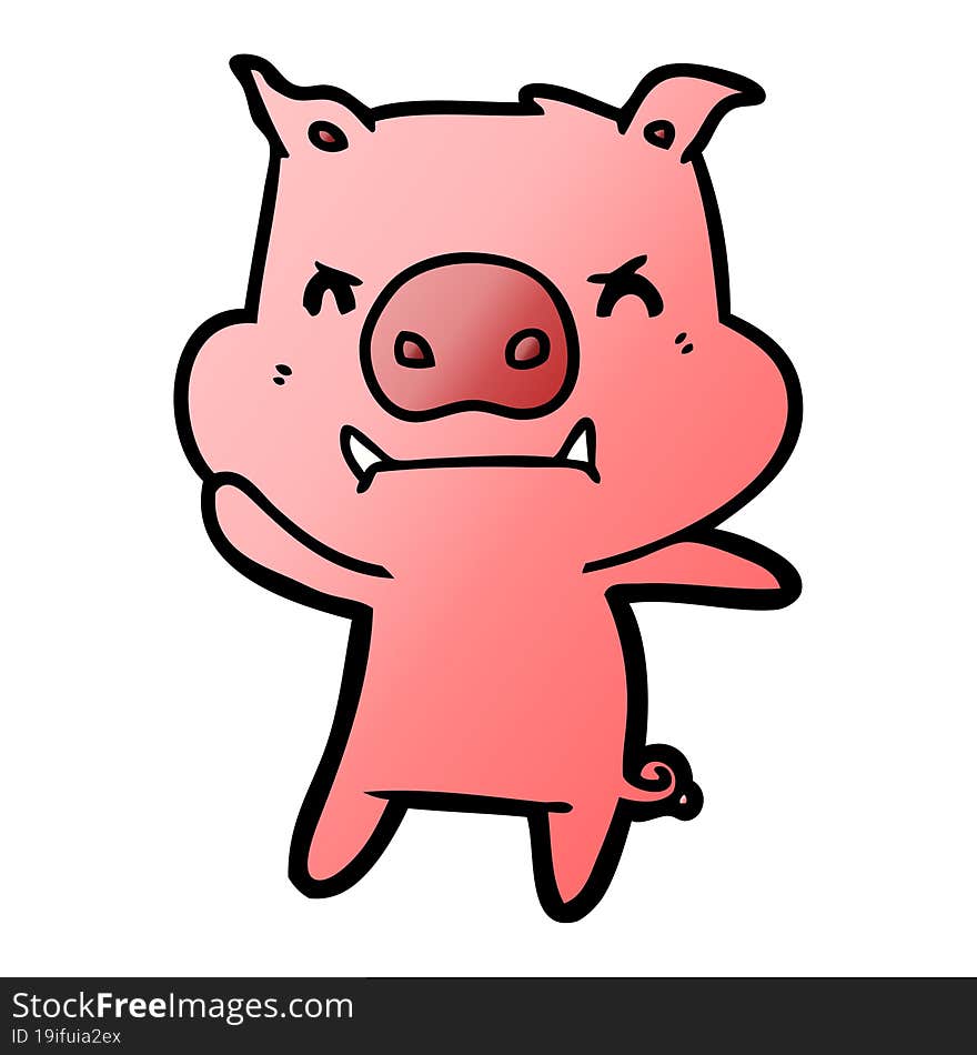 angry cartoon pig. angry cartoon pig