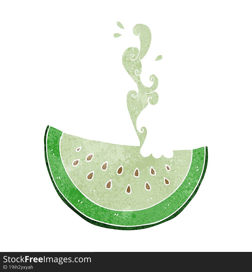 Retro Cartoon Melon Slice