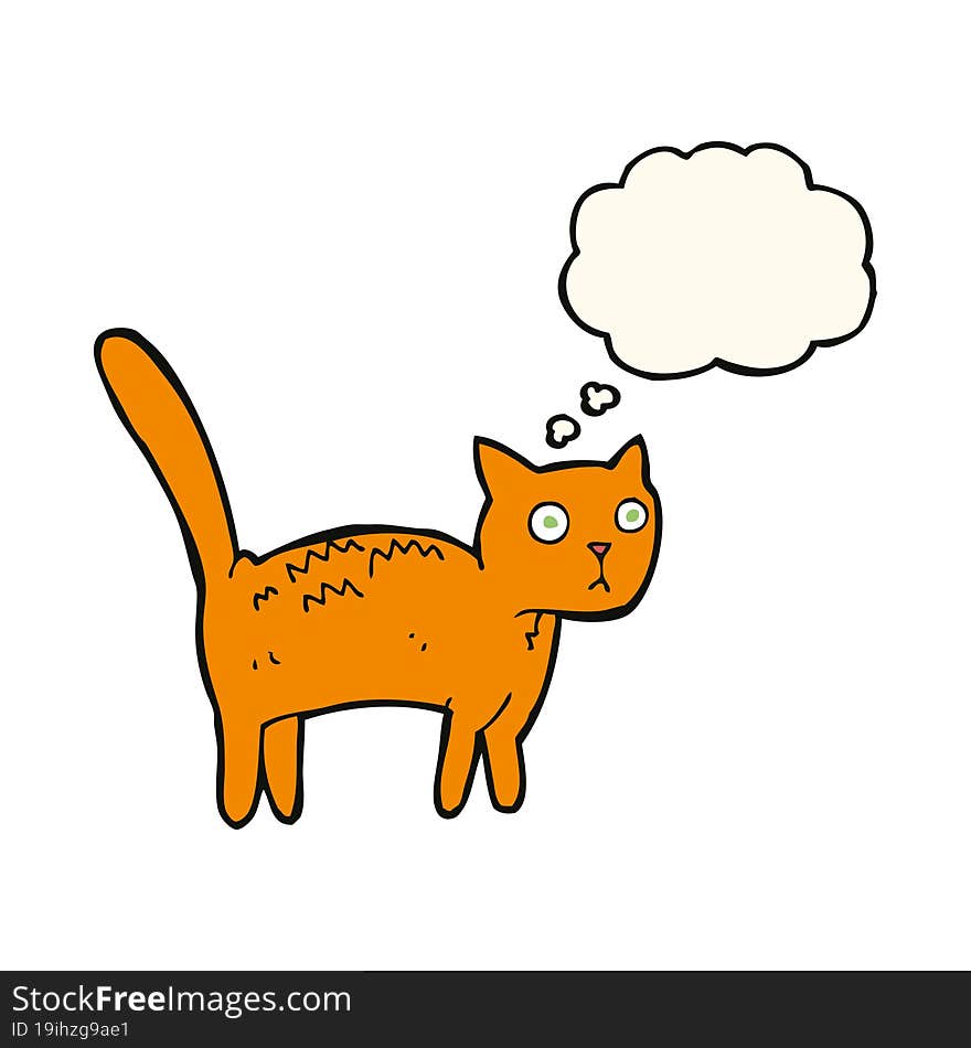 cartoon frightened cat with thought bubble