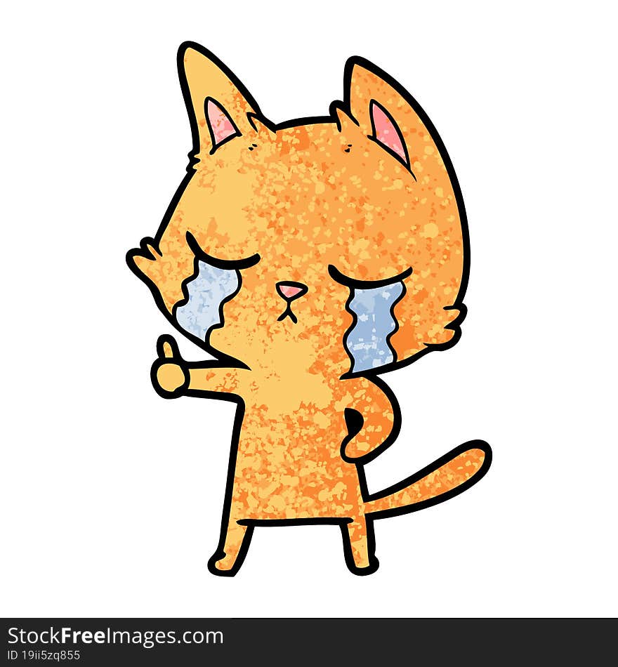 crying cartoon cat. crying cartoon cat