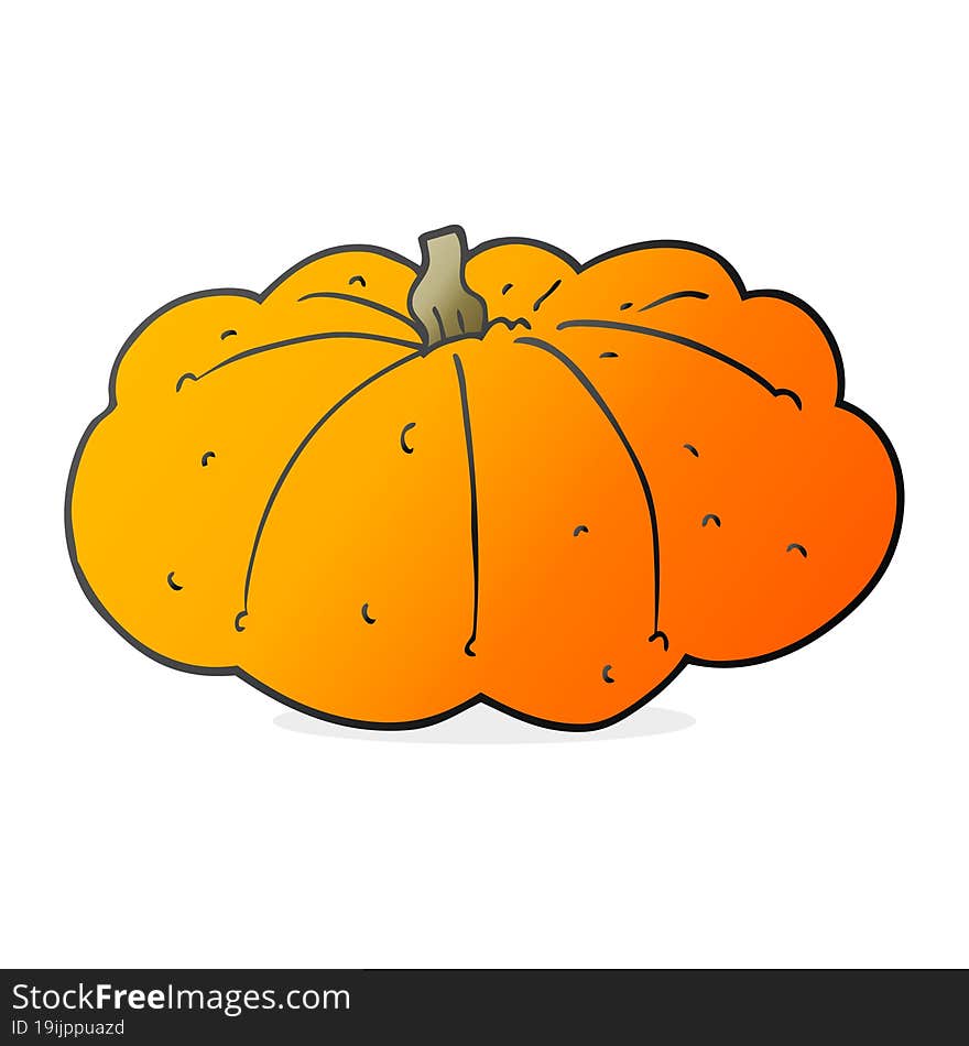 cartoon squash