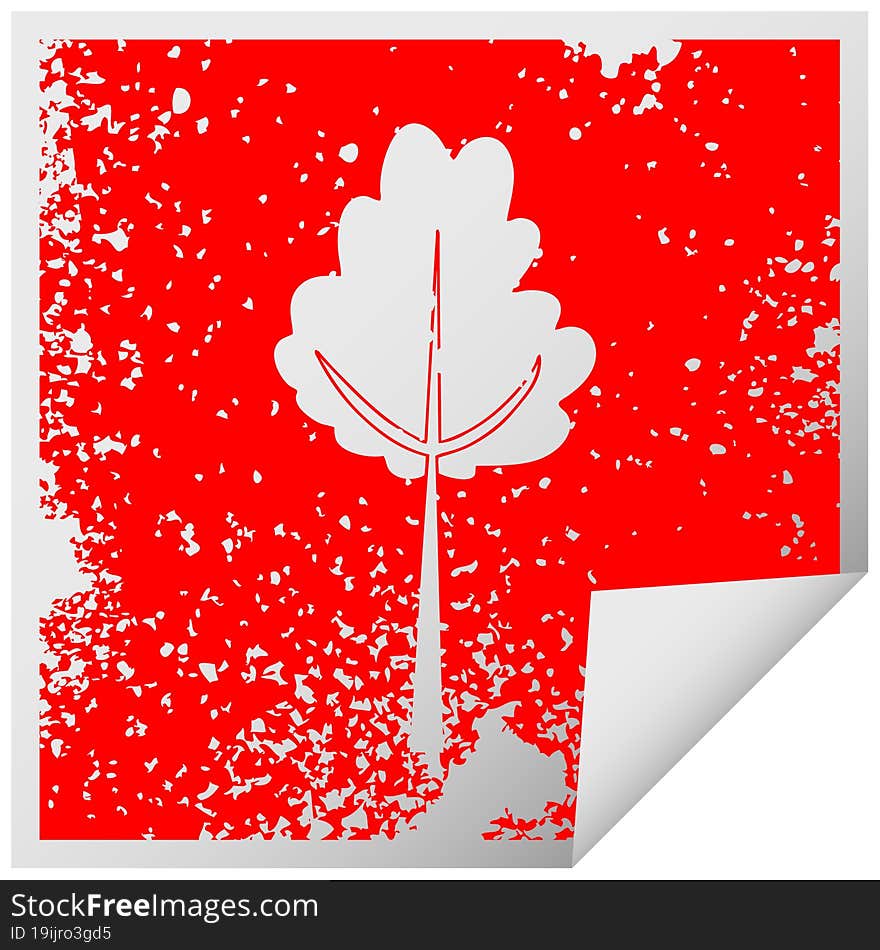 quirky distressed square peeling sticker symbol tree