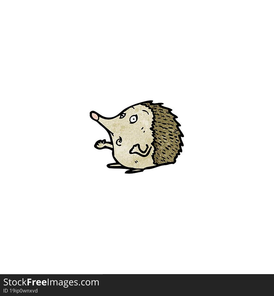 Cartoon Hedgehog