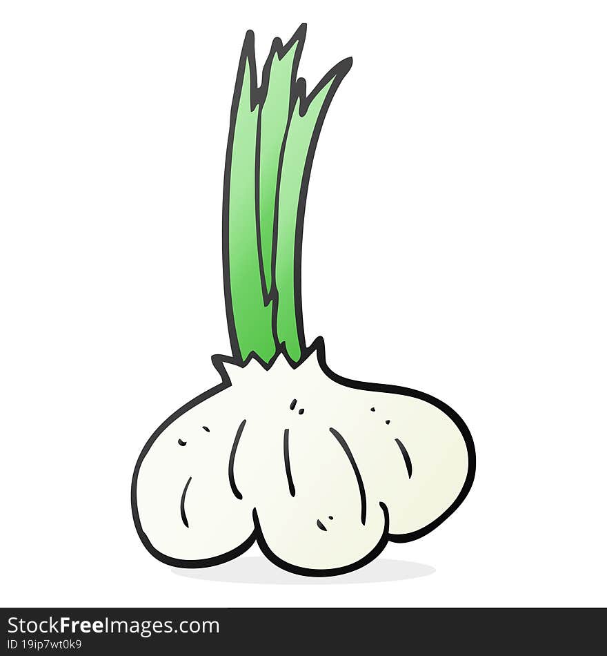 Cartoon Garlic