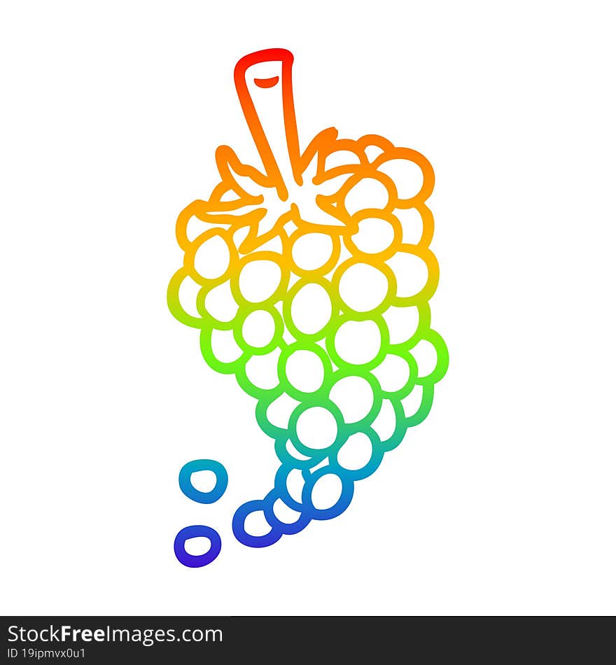 rainbow gradient line drawing bunch of grapes