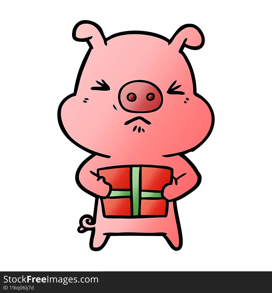 cartoon angry pig with christmas present. cartoon angry pig with christmas present