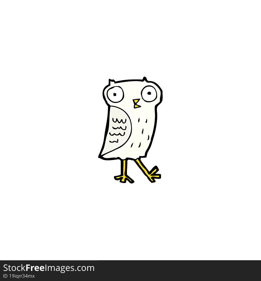 Cartoon Owl