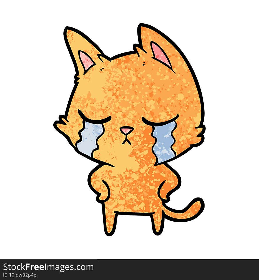 crying cartoon cat. crying cartoon cat