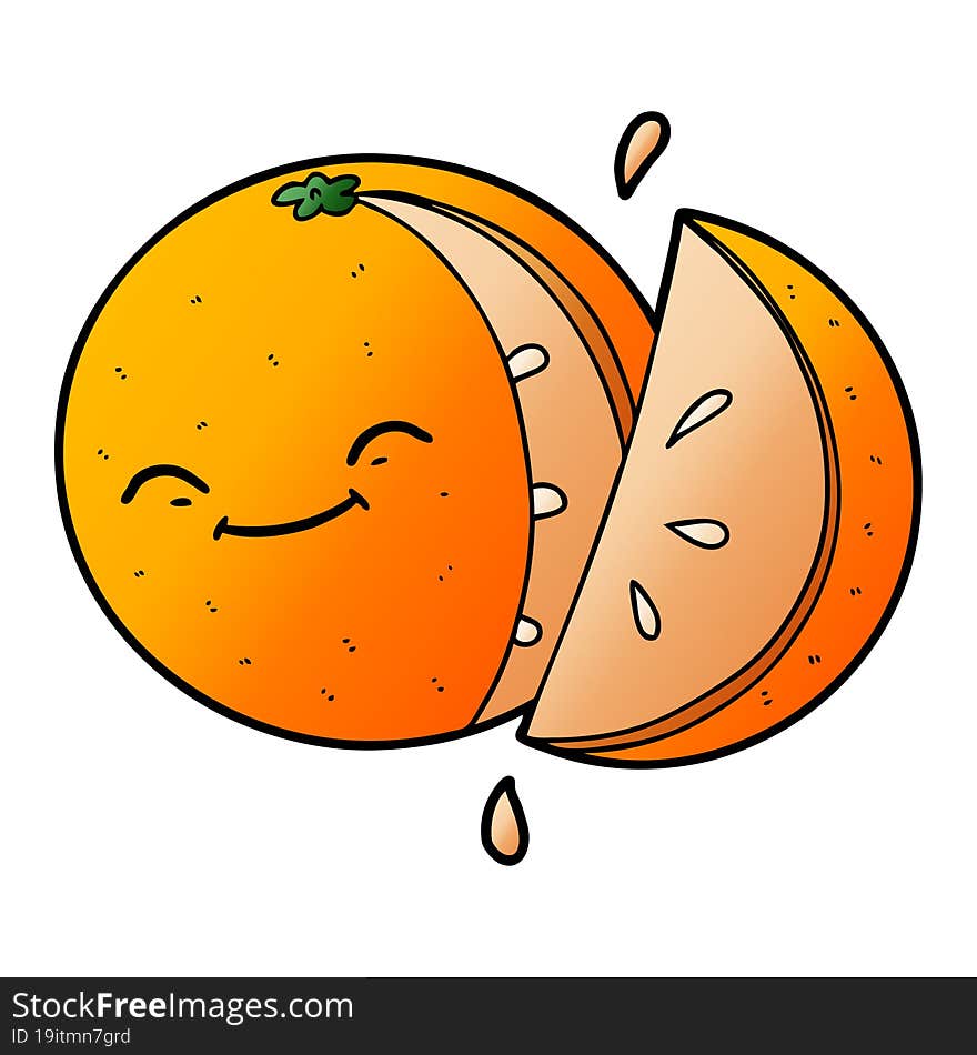 cartoon sliced orange. cartoon sliced orange