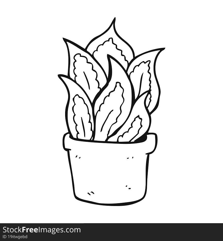 black and white cartoon house plant