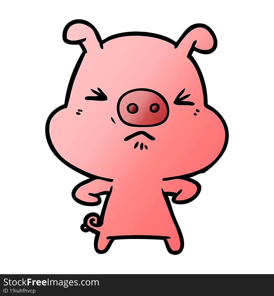 cartoon angry pig. cartoon angry pig