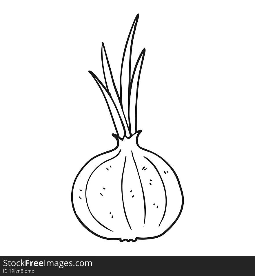 freehand drawn black and white cartoon onion