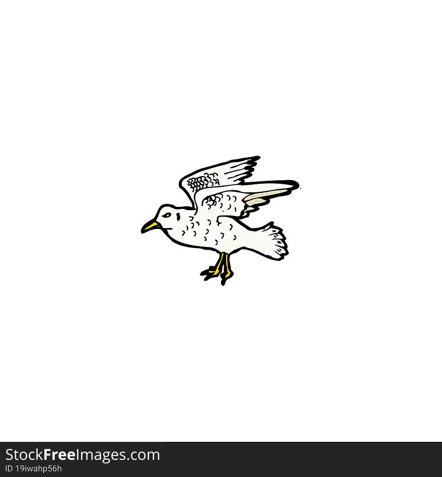 seagull illustration